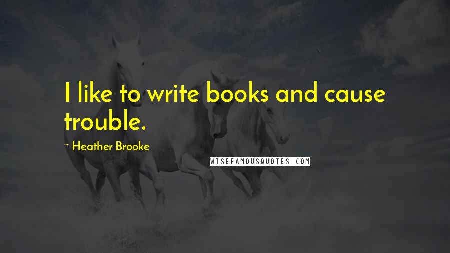 Heather Brooke quotes: I like to write books and cause trouble.