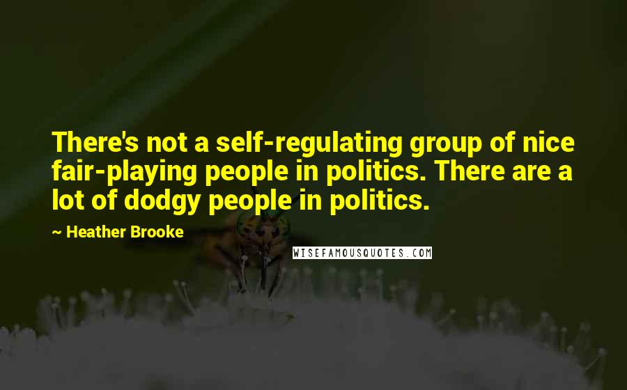 Heather Brooke quotes: There's not a self-regulating group of nice fair-playing people in politics. There are a lot of dodgy people in politics.