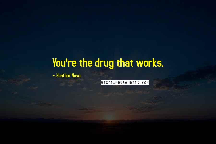 Heather Nova quotes: You're the drug that works.