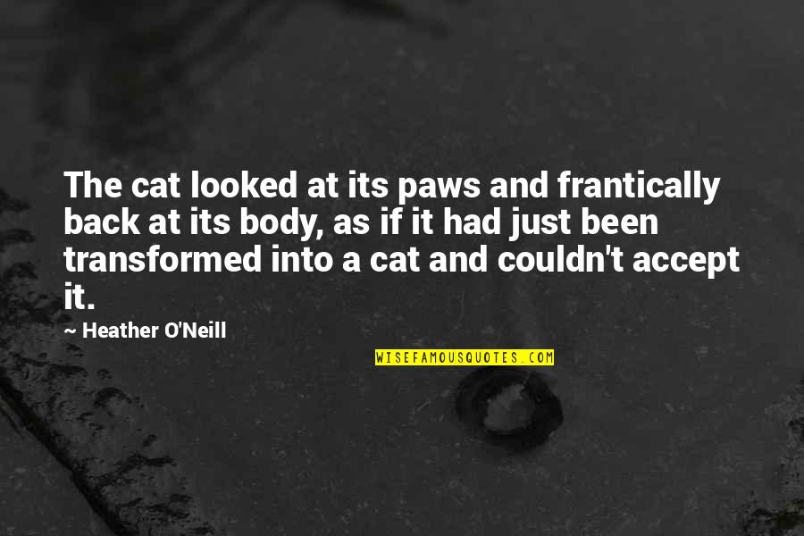 Heather O'rourke Quotes By Heather O'Neill: The cat looked at its paws and frantically Heather O'rourke Quotes By Heather O'Neill: The cat looked at its paws and frantically