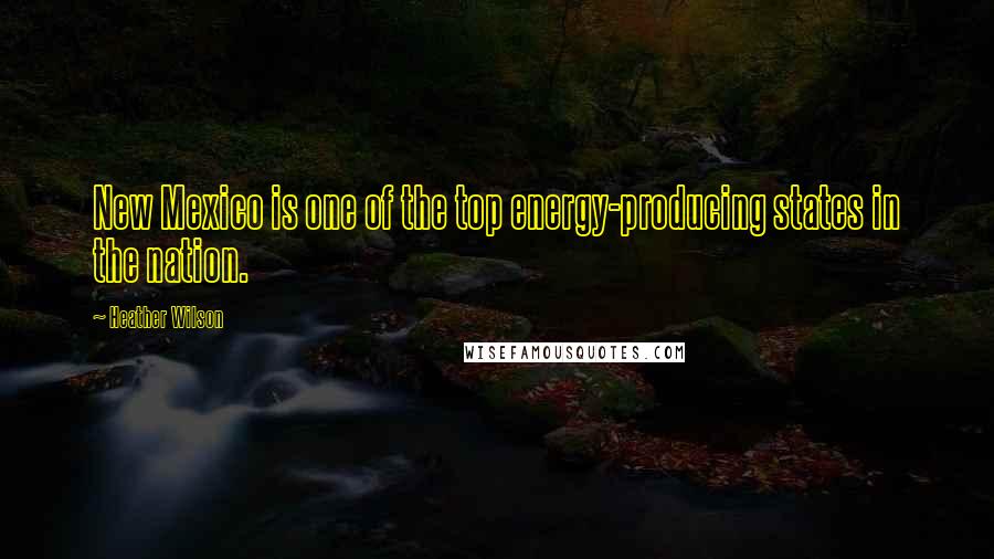 Heather Wilson quotes: New Mexico is one of the top energy-producing states in the nation.