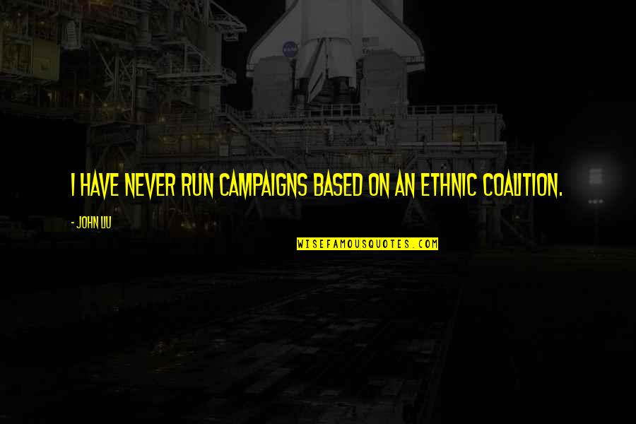 Heathyr Sidle Quotes By John Liu: I have never run campaigns based on an