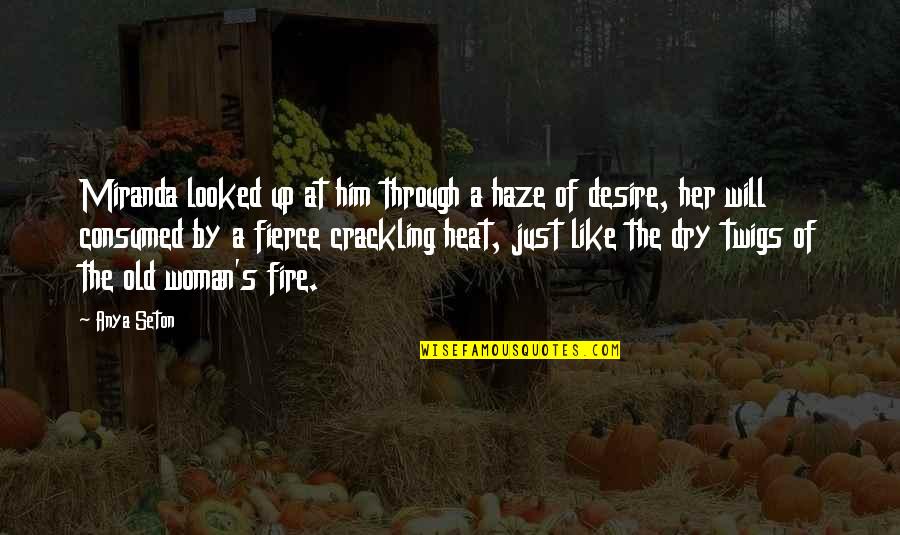 Heat's Quotes By Anya Seton: Miranda looked up at him through a haze