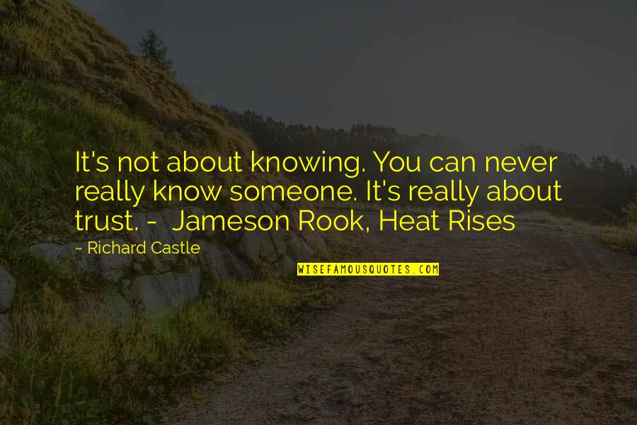 Heat's Quotes By Richard Castle: It's not about knowing. You can never really