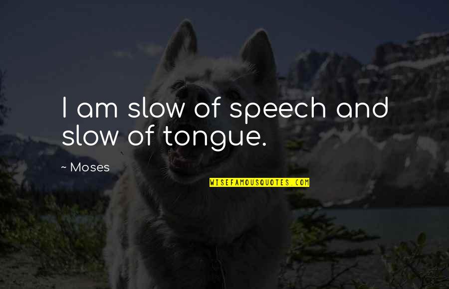 Heautontimoroumenos Baudelaire Quotes By Moses: I am slow of speech and slow of