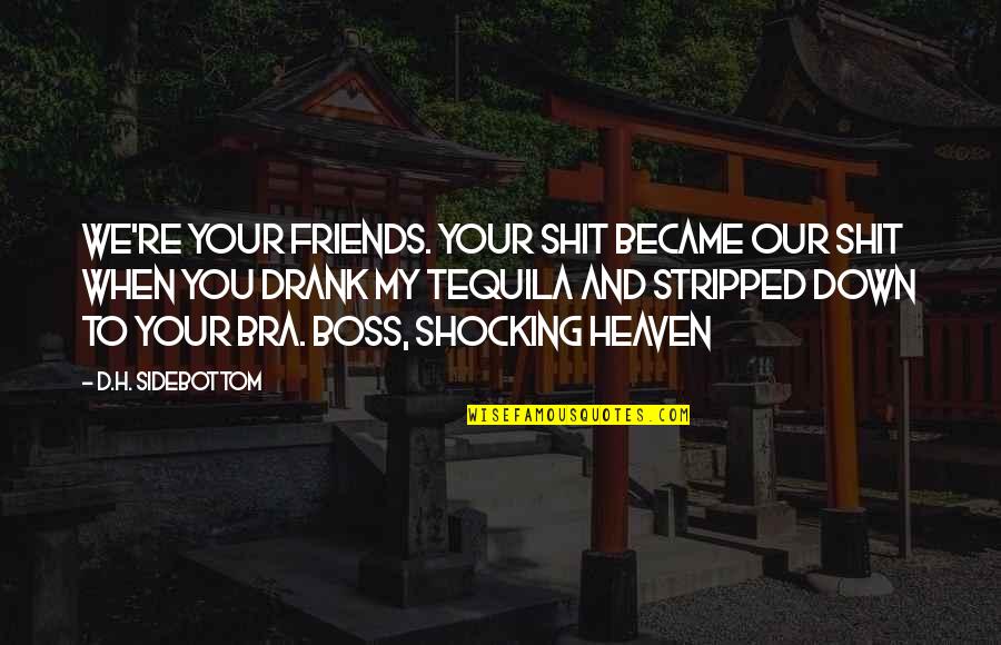 Heaven And Friends Quotes By D.H. Sidebottom: We're your friends. Your shit became our shit