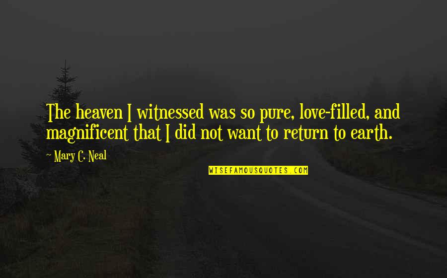 Heaven And Love Quotes By Mary C. Neal: The heaven I witnessed was so pure, love-filled, Heaven And Love Quotes By Mary C. Neal: The heaven I witnessed was so pure, love-filled,
