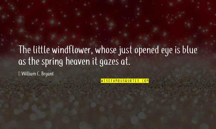 Heaven And Nature Quotes By William C. Bryant: The little windflower, whose just opened eye is