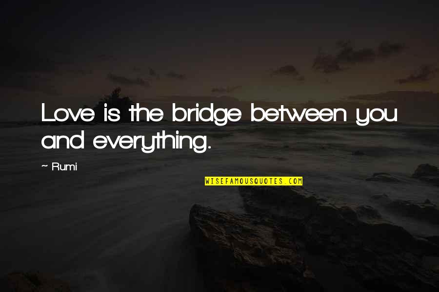 Heaven Let Your Light Shine Down Quotes By Rumi: Love is the bridge between you and everything.