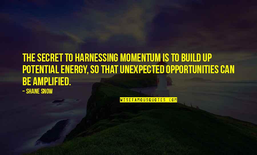 Heaven Like Island Quotes By Shane Snow: the secret to harnessing momentum is to build Heaven Like Island Quotes By Shane Snow: the secret to harnessing momentum is to build
