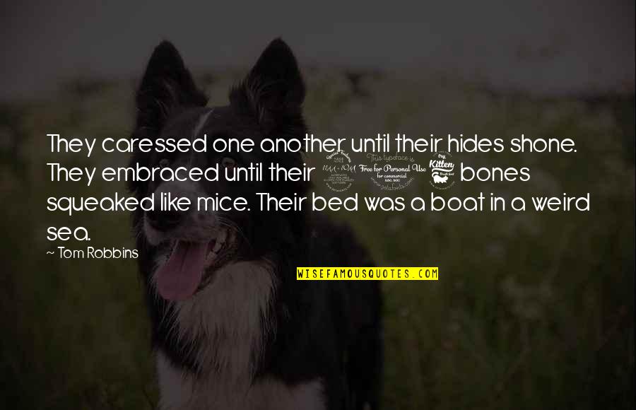 Heaven Looking Down Quotes By Tom Robbins: They caressed one another until their hides shone.