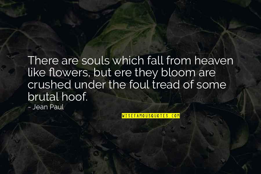 Heaven Paul Quotes By Jean Paul: There are souls which fall from heaven like