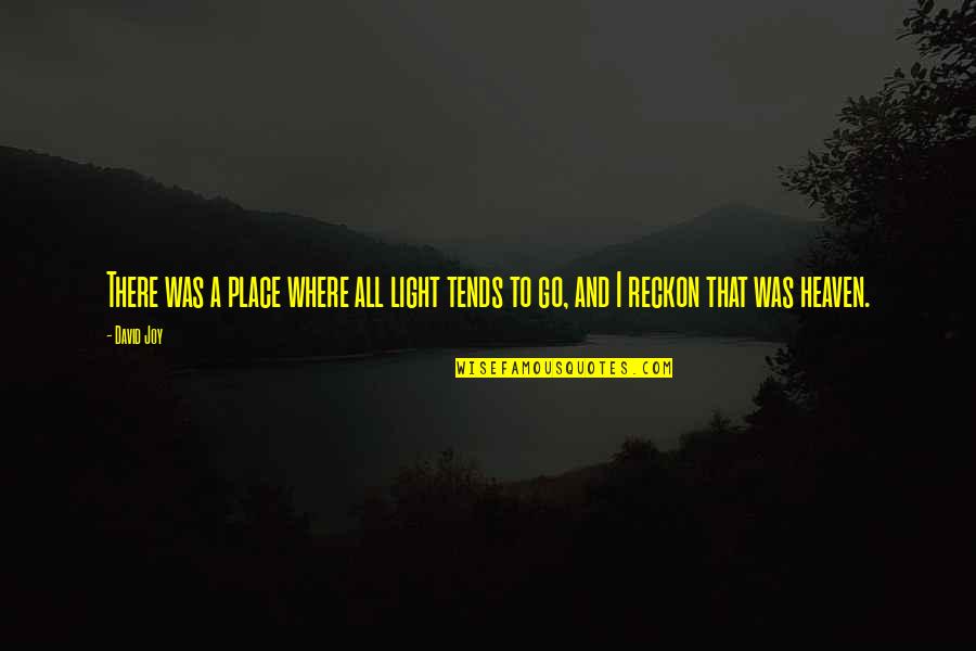 Heaven Where Quotes By David Joy: There was a place where all light tends