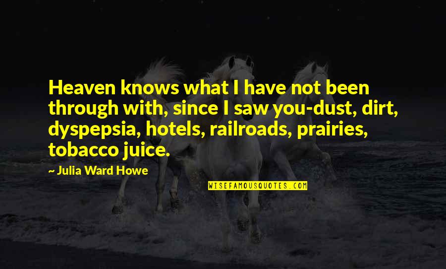 Heaven With You Quotes By Julia Ward Howe: Heaven knows what I have not been through
