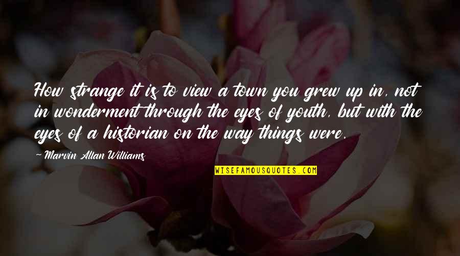Heavenly Creatures Quotes By Marvin Allan Williams: How strange it is to view a town Heavenly Creatures Quotes By Marvin Allan Williams: How strange it is to view a town