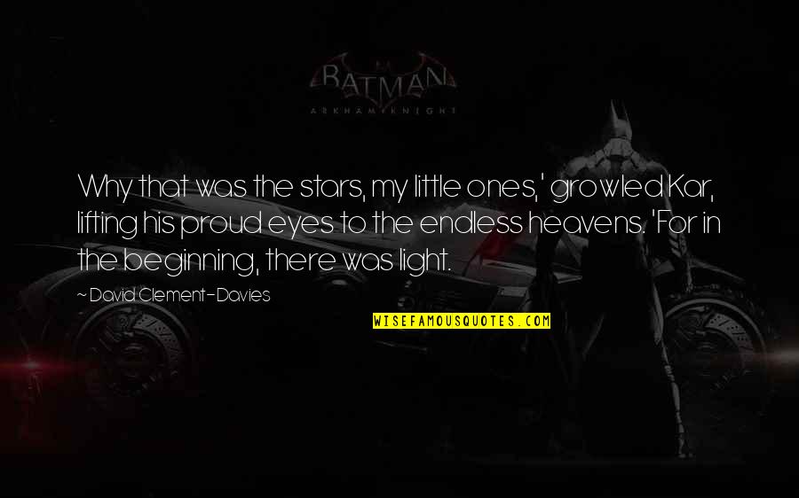 Heavens And Stars Quotes By David Clement-Davies: Why that was the stars, my little ones,'