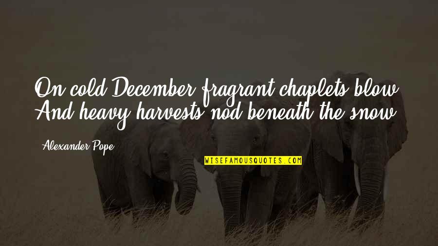 Heavy Snow Quotes By Alexander Pope: On cold December fragrant chaplets blow, And heavy