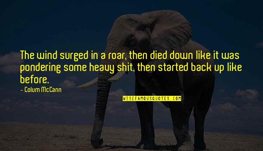 Heavy Wind Quotes By Colum McCann: The wind surged in a roar, then died Heavy Wind Quotes By Colum McCann: The wind surged in a roar, then died