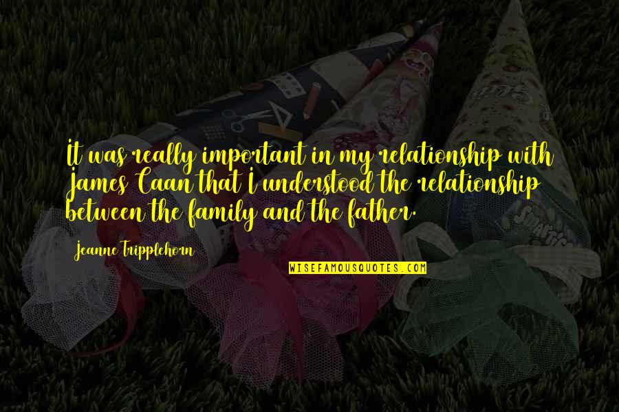 Hebenstreit Gmbh Quotes By Jeanne Tripplehorn: It was really important in my relationship with