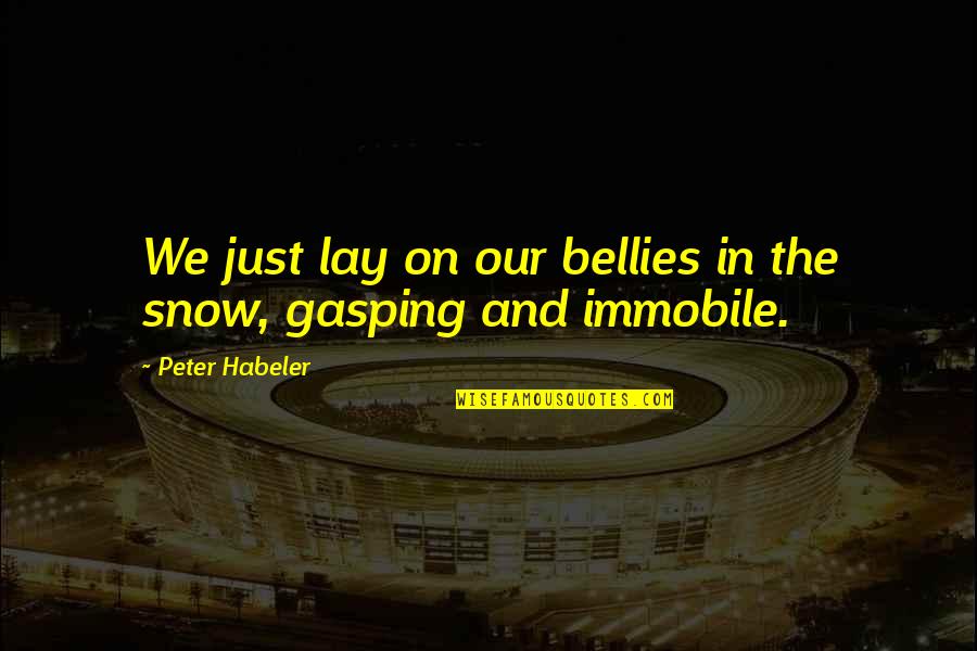 Heckendorf Acquisitions Quotes By Peter Habeler: We just lay on our bellies in the Heckendorf Acquisitions Quotes By Peter Habeler: We just lay on our bellies in the