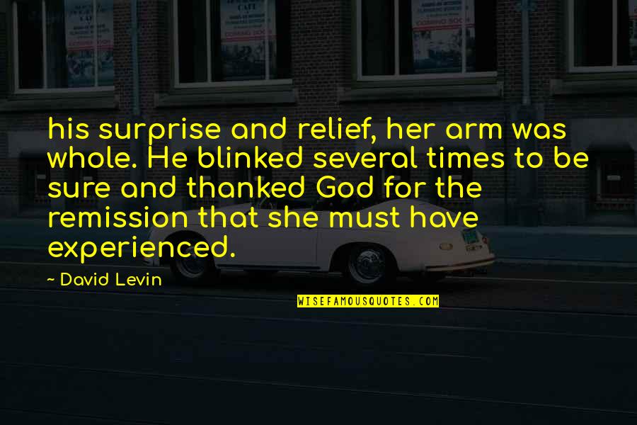 Heckled Or Teased Quotes By David Levin: his surprise and relief, her arm was whole. Heckled Or Teased Quotes By David Levin: his surprise and relief, her arm was whole.