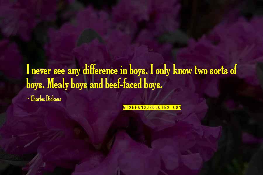 Hecox Home Quotes By Charles Dickens: I never see any difference in boys. I