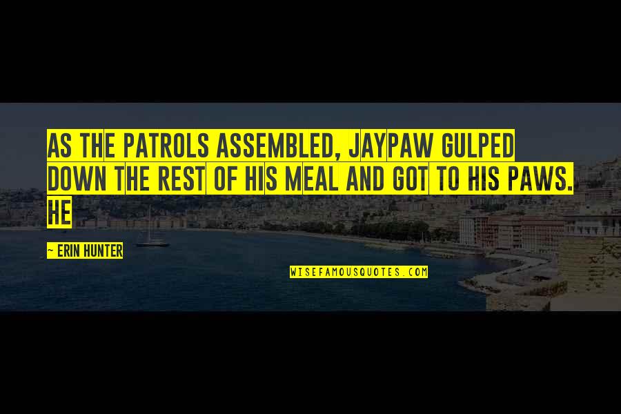 Hectare Vs Acre Quotes By Erin Hunter: As the patrols assembled, Jaypaw gulped down the Hectare Vs Acre Quotes By Erin Hunter: As the patrols assembled, Jaypaw gulped down the