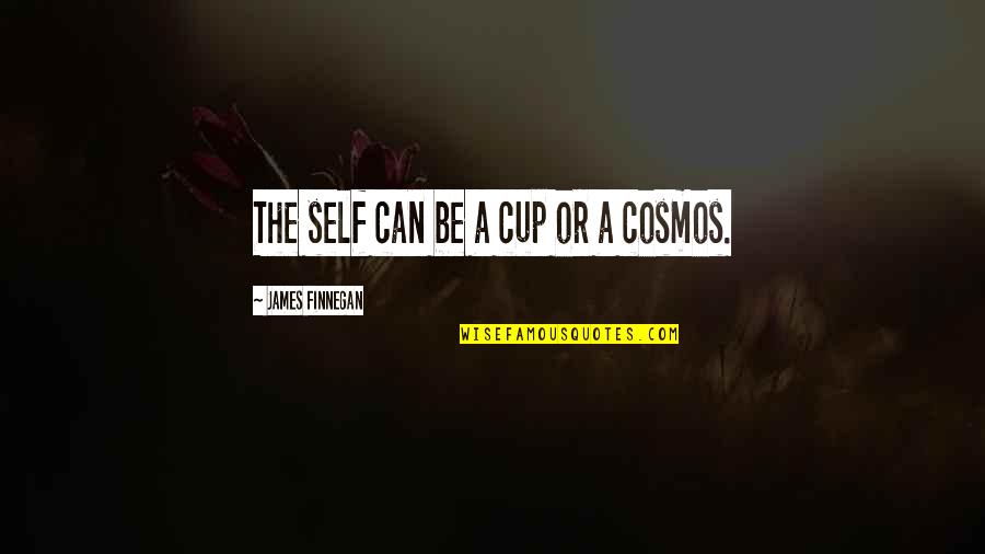 Heddy Lang Quotes By James Finnegan: The self can be a cup or a