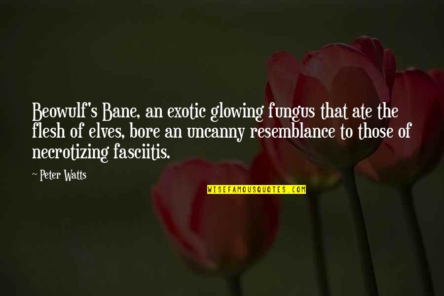 Hedengran Knife Quotes By Peter Watts: Beowulf's Bane, an exotic glowing fungus that ate