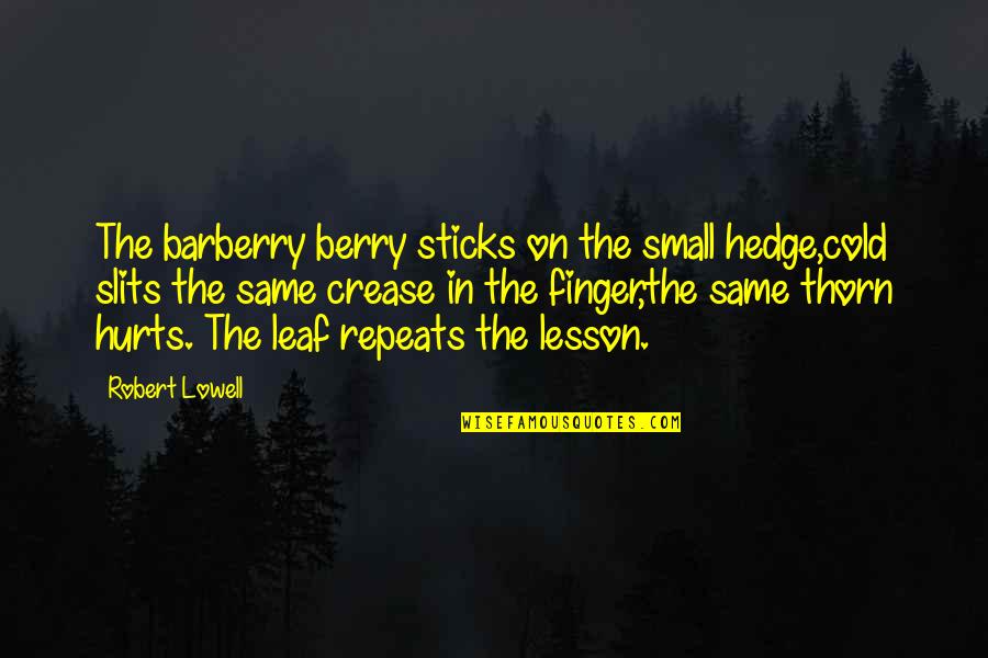 Hedge Quotes By Robert Lowell: The barberry berry sticks on the small hedge,cold