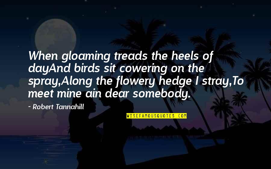 Hedge Quotes By Robert Tannahill: When gloaming treads the heels of dayAnd birds