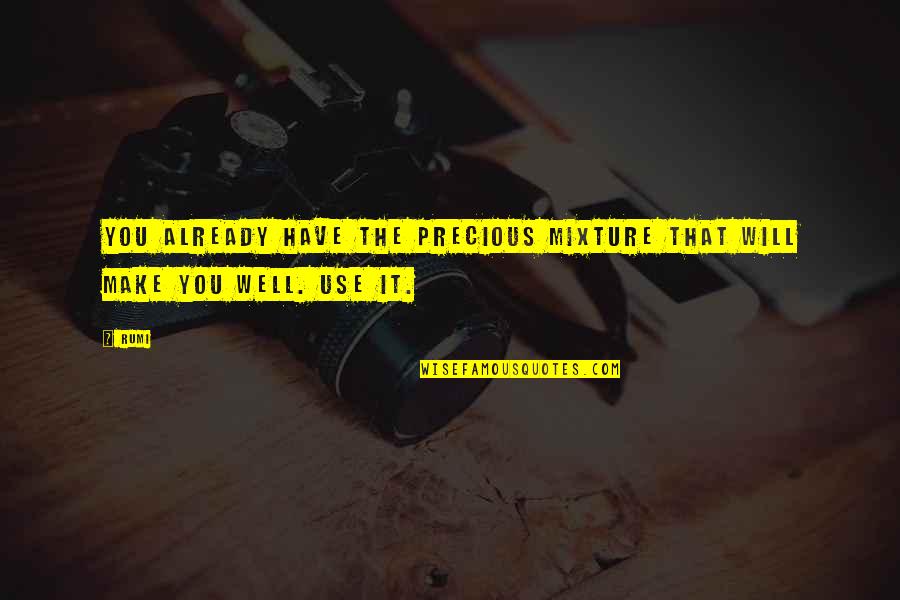 Hedgehog Concept Quotes By Rumi: You already have the precious mixture that will