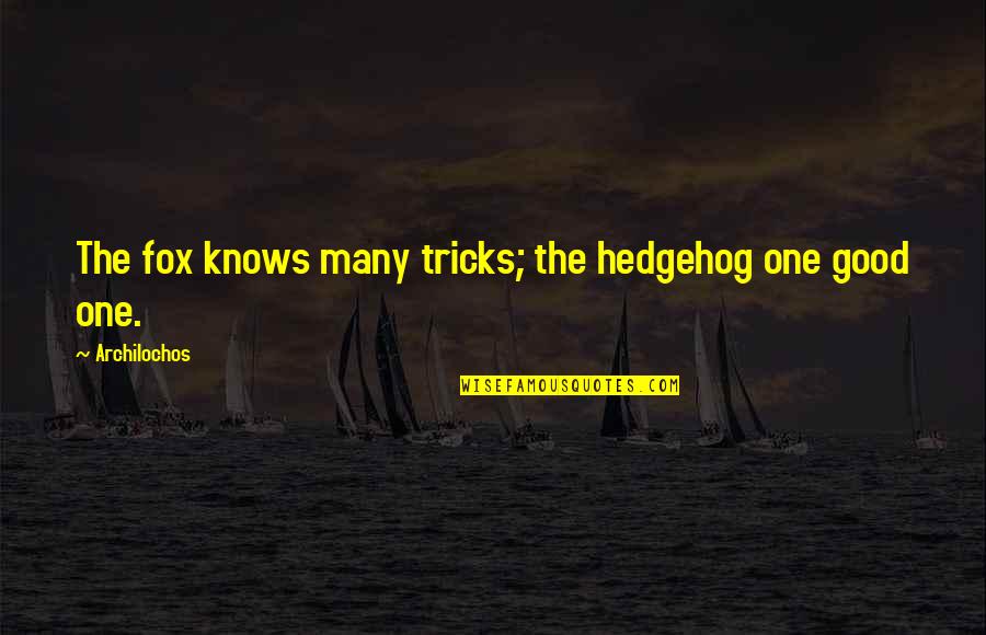 Hedgehog Quotes By Archilochos: The fox knows many tricks; the hedgehog one