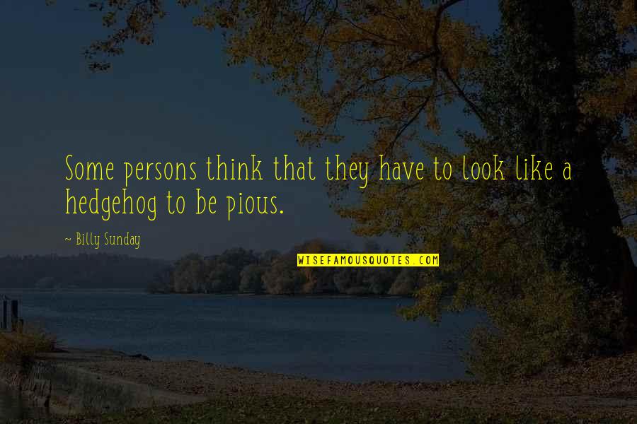 Hedgehog Quotes By Billy Sunday: Some persons think that they have to look