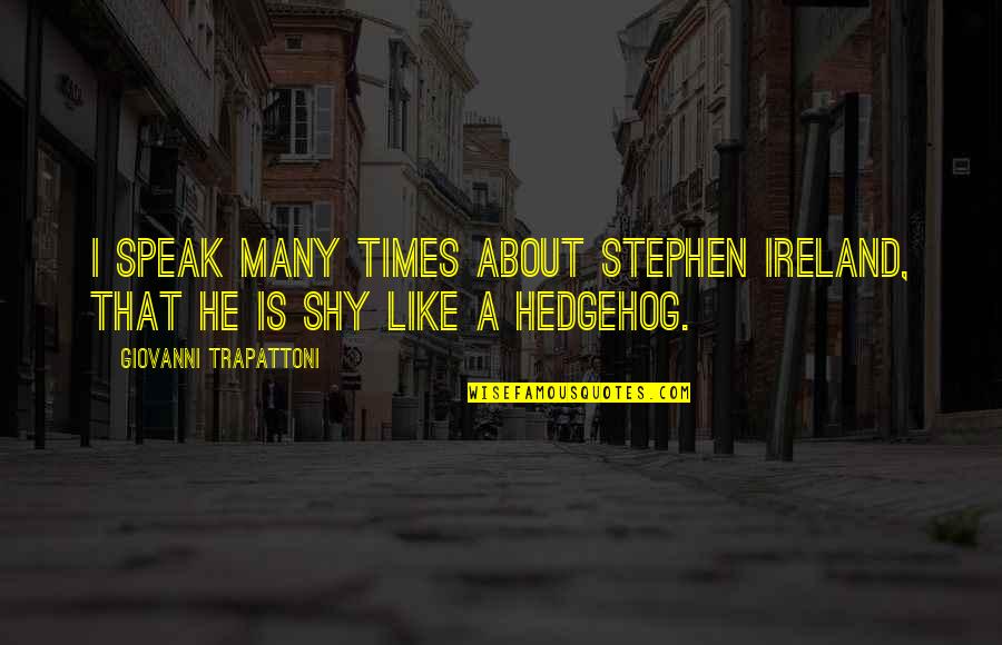 Hedgehog Quotes By Giovanni Trapattoni: I speak many times about Stephen Ireland, that