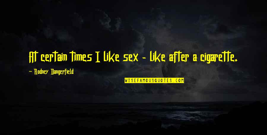 Hediyeh Golshani Quotes By Rodney Dangerfield: At certain times I like sex - like Hediyeh Golshani Quotes By Rodney Dangerfield: At certain times I like sex - like