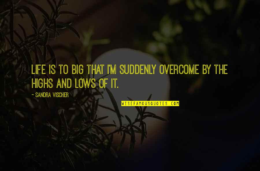 Hedva Ser Quotes By Sandra Vischer: Life is to BIG that I'm suddenly overcome