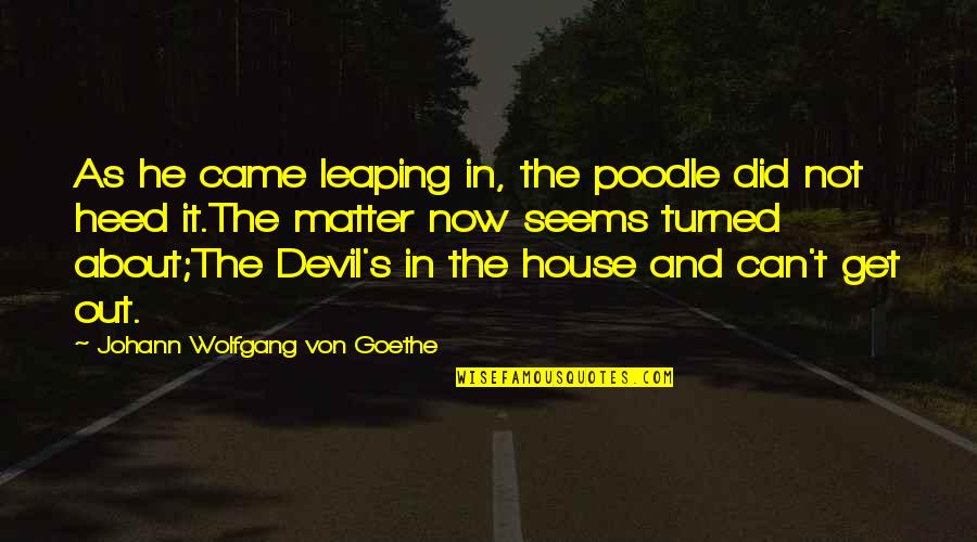 Heed Quotes By Johann Wolfgang Von Goethe: As he came leaping in, the poodle did
