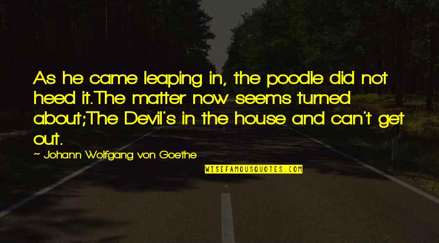 Heed Quotes By Johann Wolfgang Von Goethe: As he came leaping in, the poodle did Heed Quotes By Johann Wolfgang Von Goethe: As he came leaping in, the poodle did