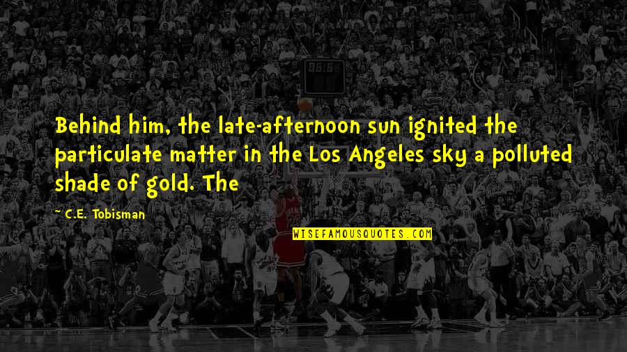 Heels To Gym Quotes By C.E. Tobisman: Behind him, the late-afternoon sun ignited the particulate Heels To Gym Quotes By C.E. Tobisman: Behind him, the late-afternoon sun ignited the particulate