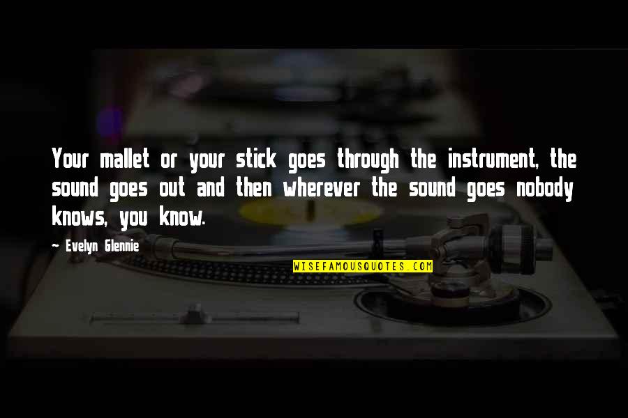 Hegedis Jutarnji Quotes By Evelyn Glennie: Your mallet or your stick goes through the Hegedis Jutarnji Quotes By Evelyn Glennie: Your mallet or your stick goes through the