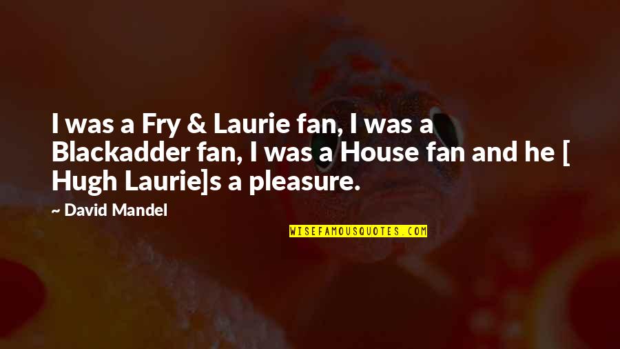 Hegganahalli Quotes By David Mandel: I was a Fry & Laurie fan, I Hegganahalli Quotes By David Mandel: I was a Fry & Laurie fan, I