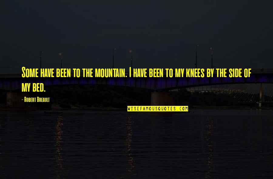 Hegtavic Quotes By Robert Breault: Some have been to the mountain. I have