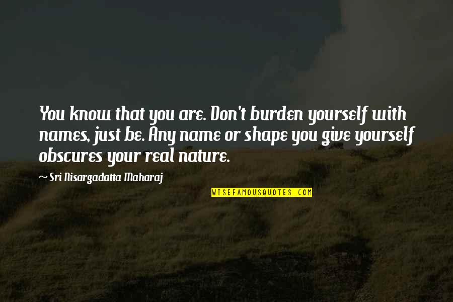 Heidary Union Quotes By Sri Nisargadatta Maharaj: You know that you are. Don't burden yourself Heidary Union Quotes By Sri Nisargadatta Maharaj: You know that you are. Don't burden yourself