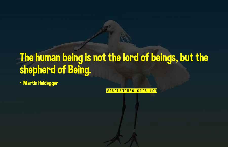 Heidegger Quotes By Martin Heidegger: The human being is not the lord of Heidegger Quotes By Martin Heidegger: The human being is not the lord of