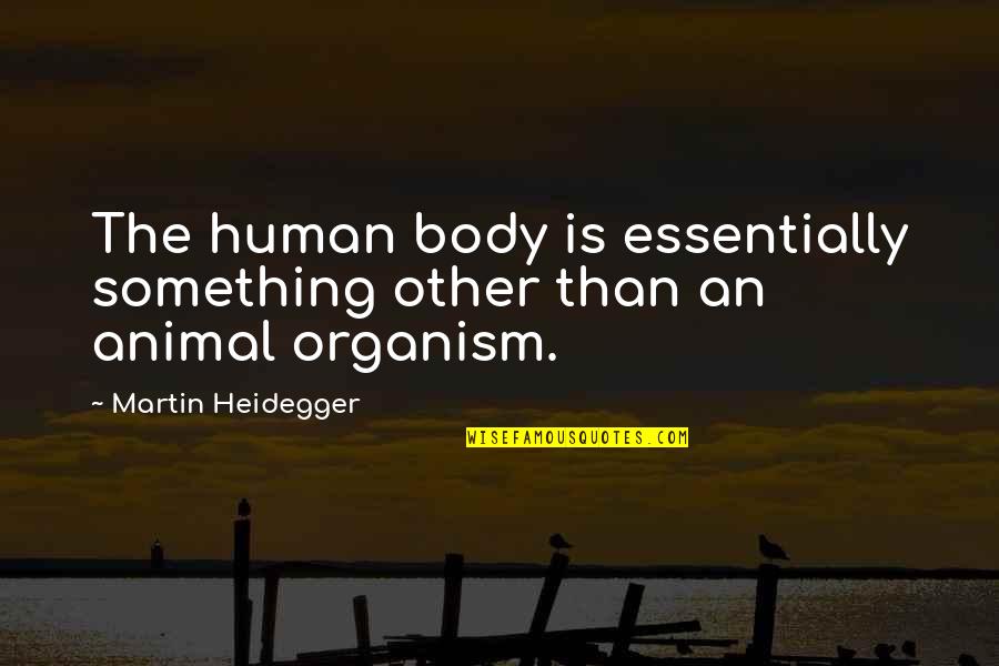 Heidegger Quotes By Martin Heidegger: The human body is essentially something other than Heidegger Quotes By Martin Heidegger: The human body is essentially something other than