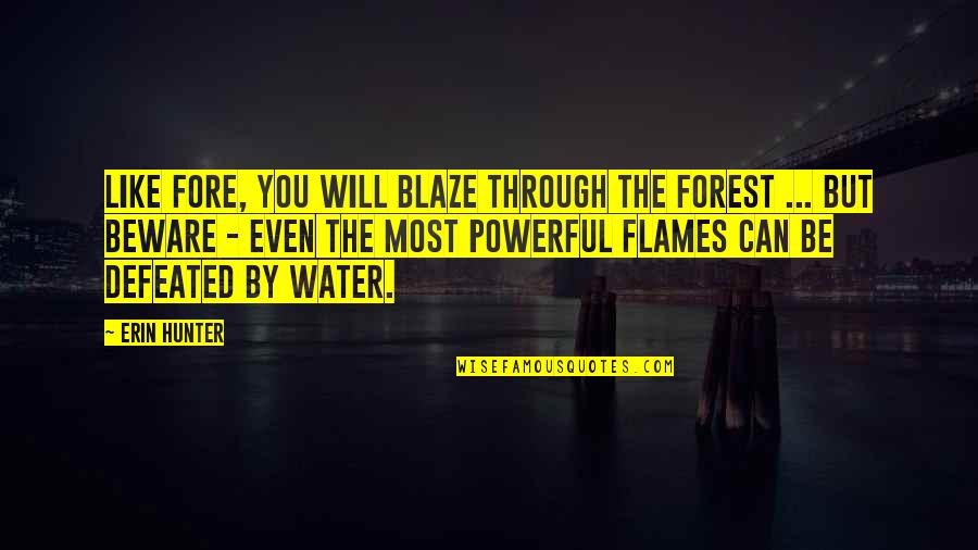 Heidelberger Chlorella Quotes By Erin Hunter: Like fore, you will blaze through the forest Heidelberger Chlorella Quotes By Erin Hunter: Like fore, you will blaze through the forest