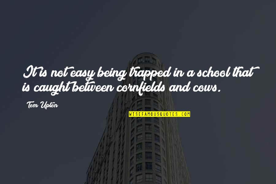 Heider College Quotes By Tom Upton: It is not easy being trapped in a