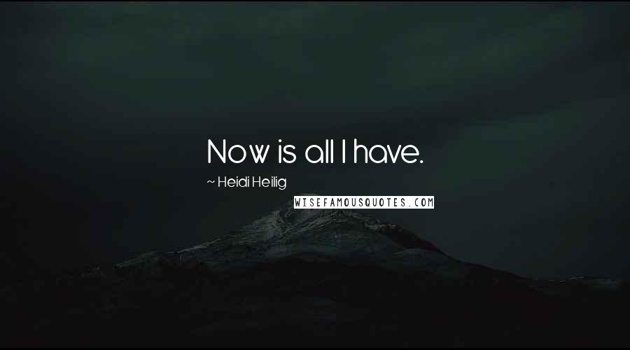 Heidi Heilig quotes: Now is all I have.