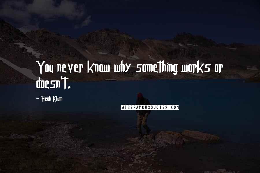 Heidi Klum quotes: You never know why something works or doesn't.